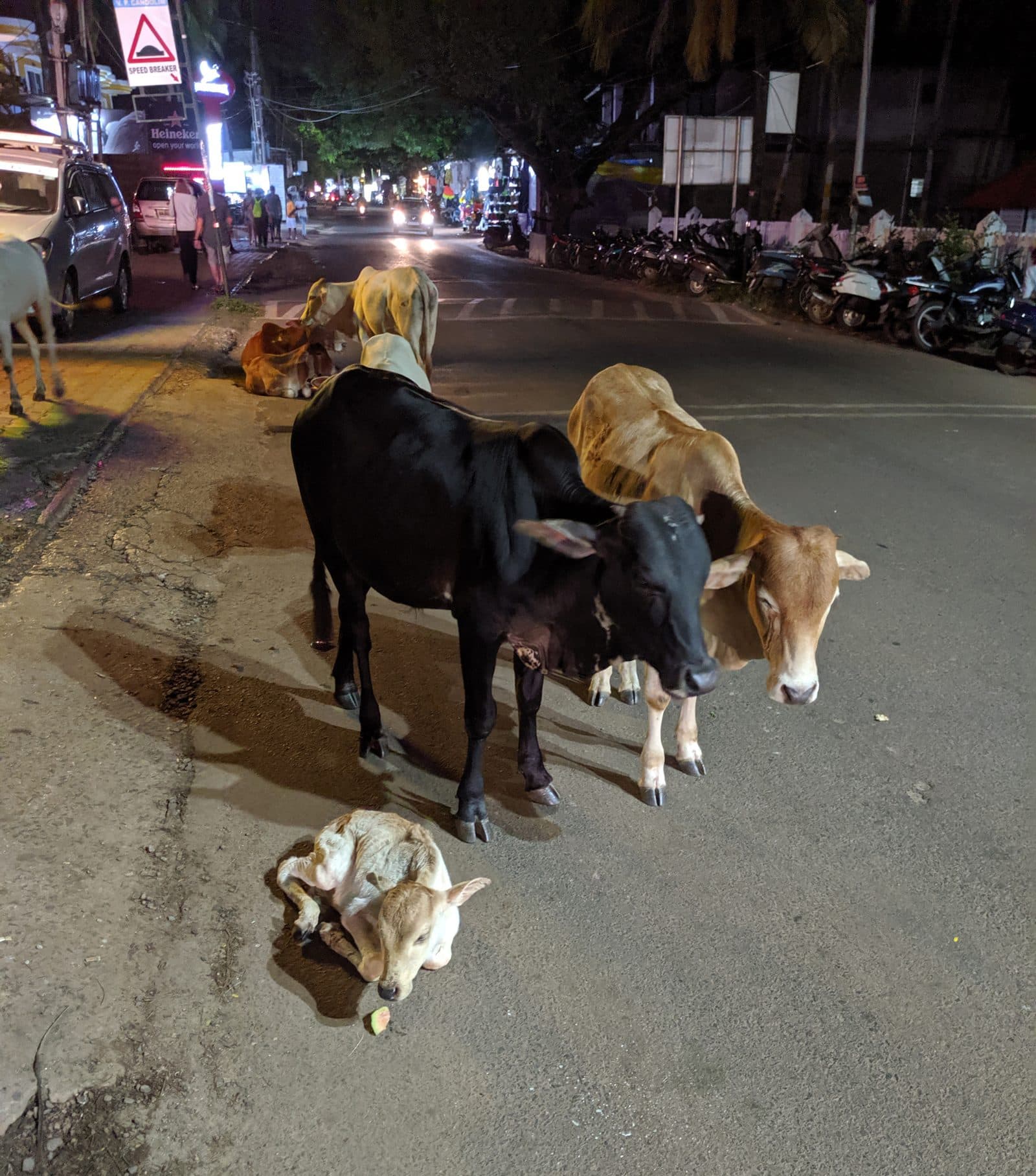 A second ambulance for night rescues 1