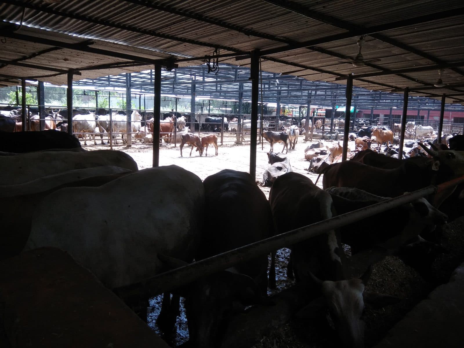 Warm, dry sheds before winter 1