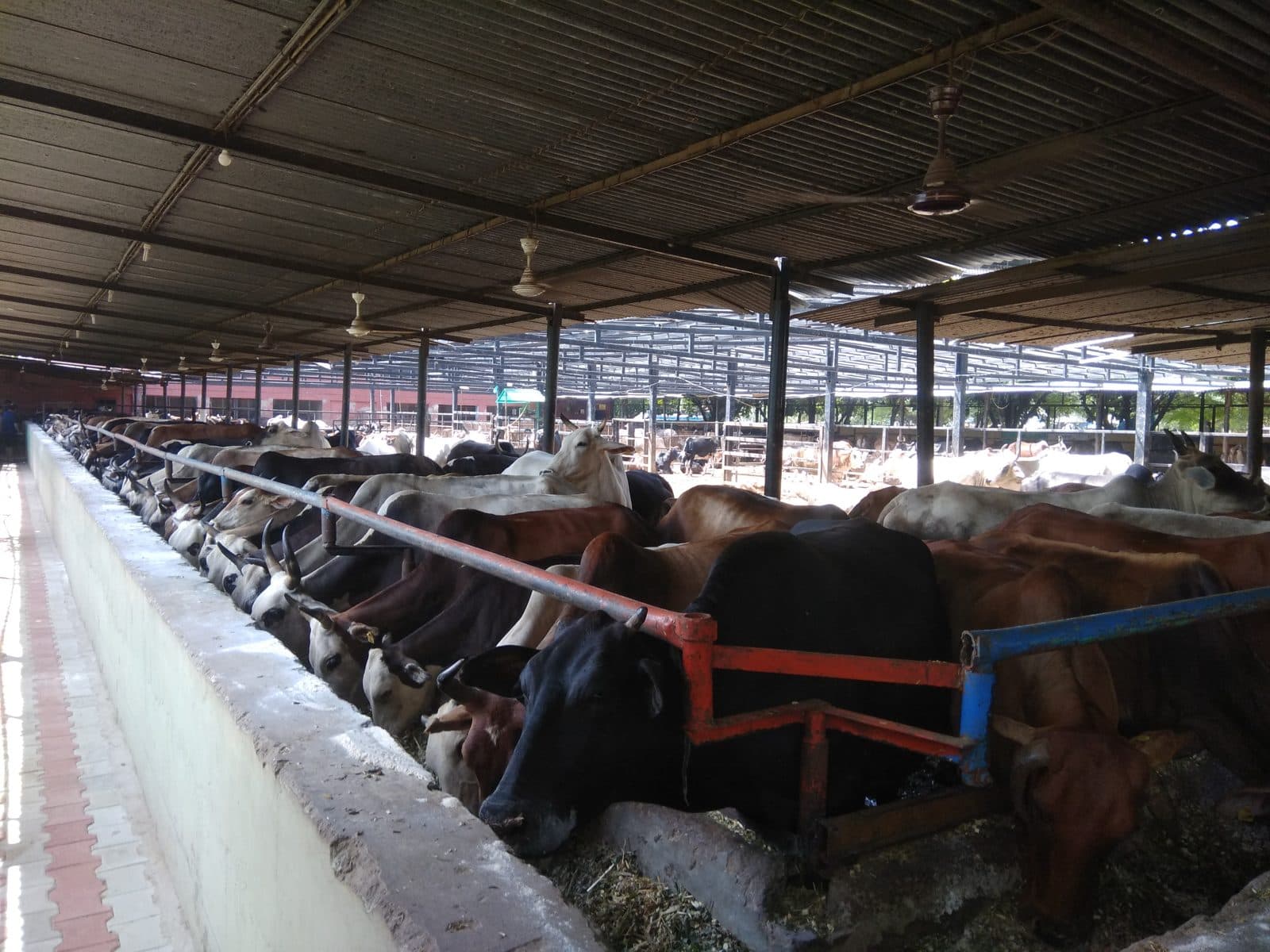 Warm, dry sheds before winter